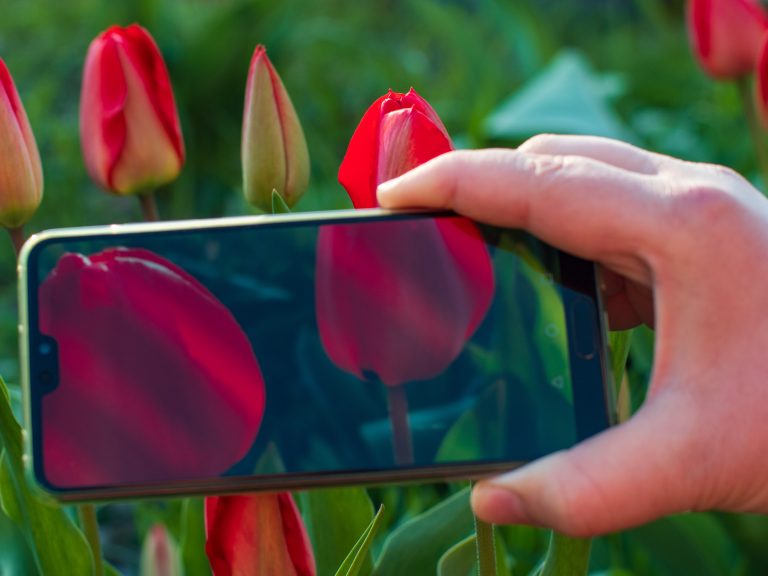 Smartphone Leistungstest